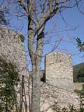 Scorcio