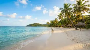 Spiaggia tropicale con palme, ombrelloni in paglia e mare turchese, ideale per vacanze tutto l’anno con poca gente